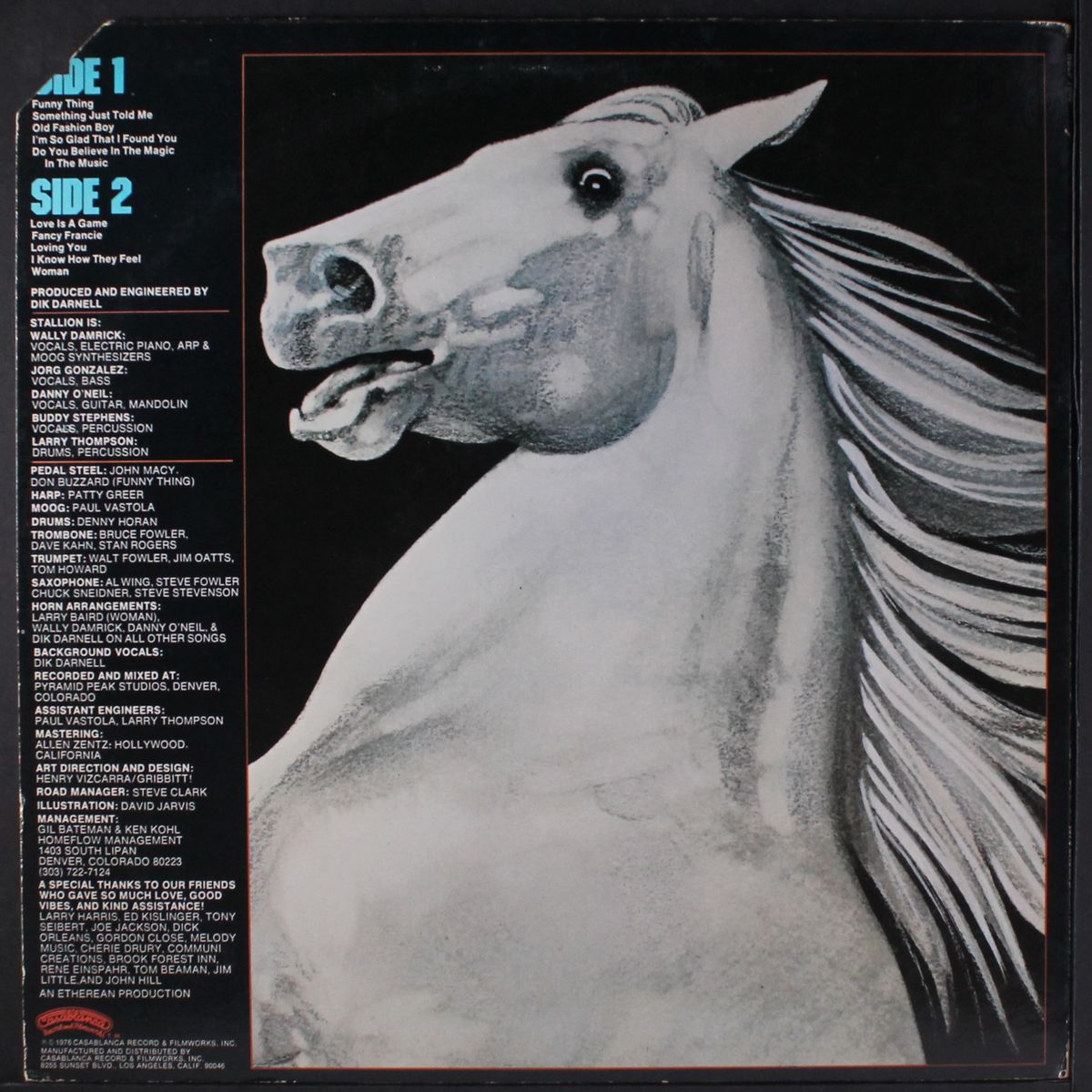 stallion by STALLION