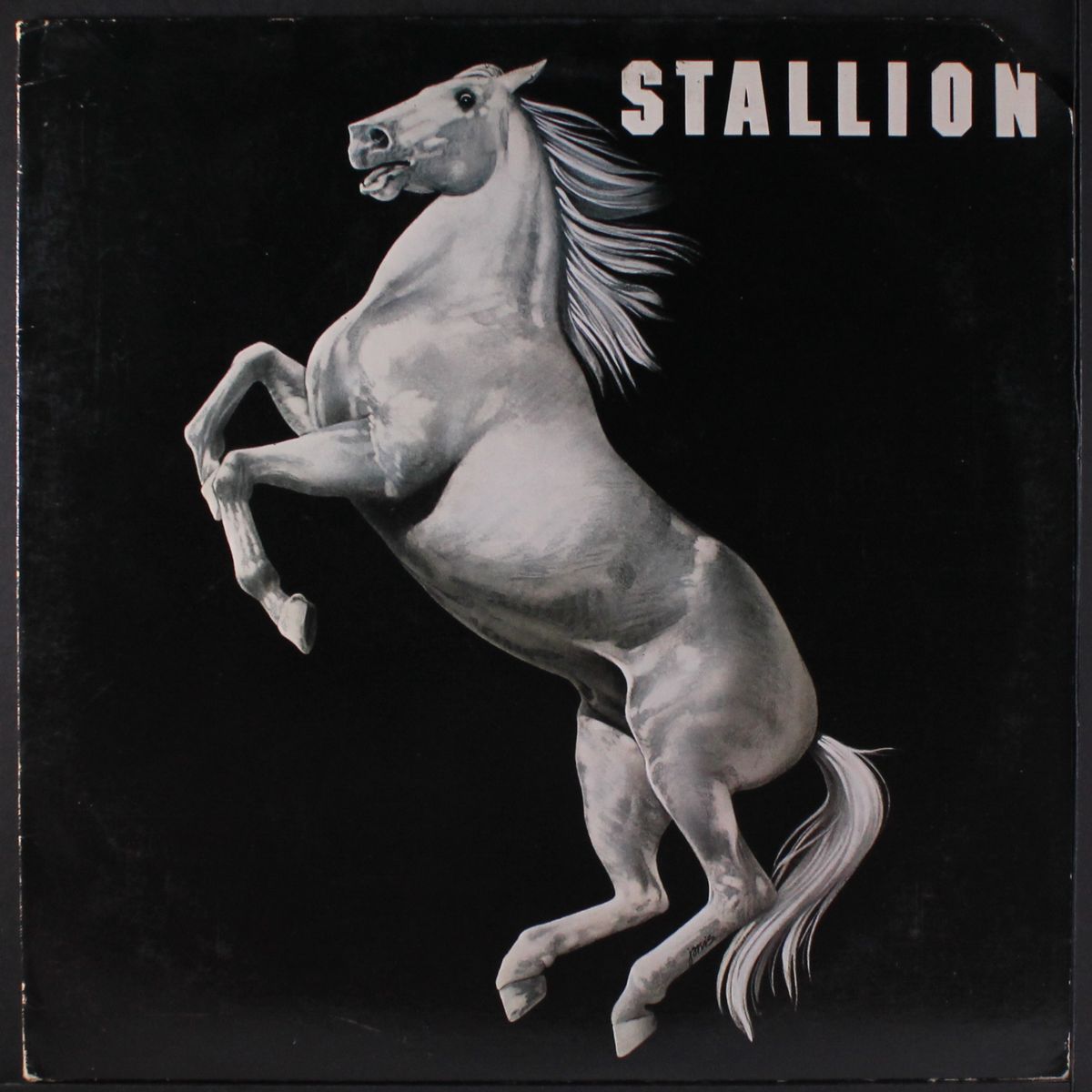 stallion by STALLION
