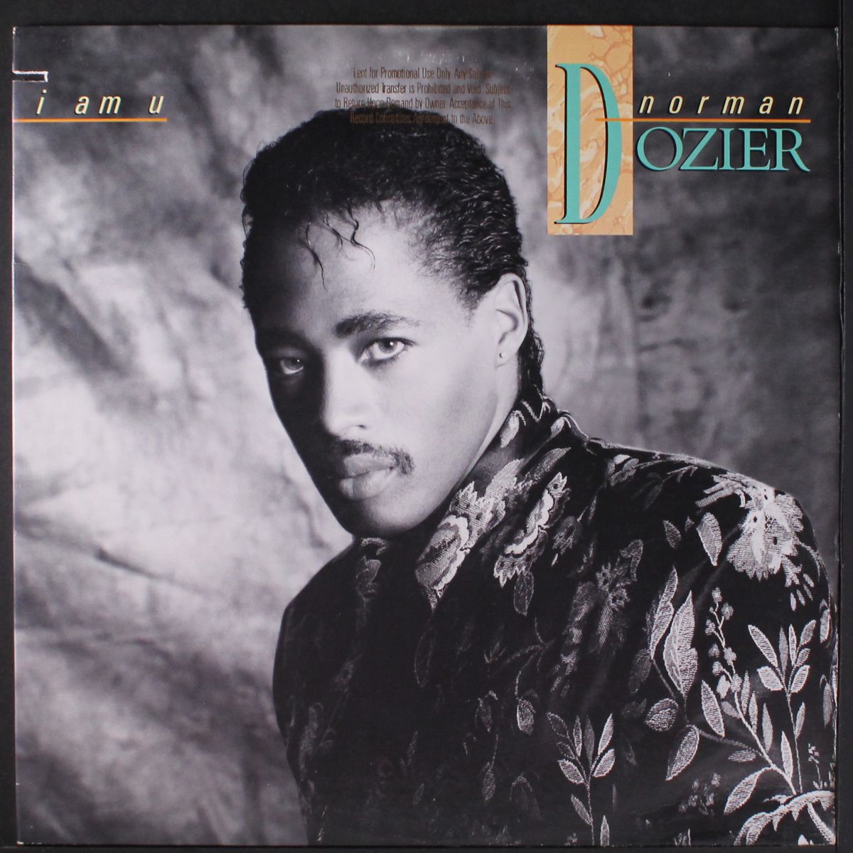 i am u by NORMAN DOZIER