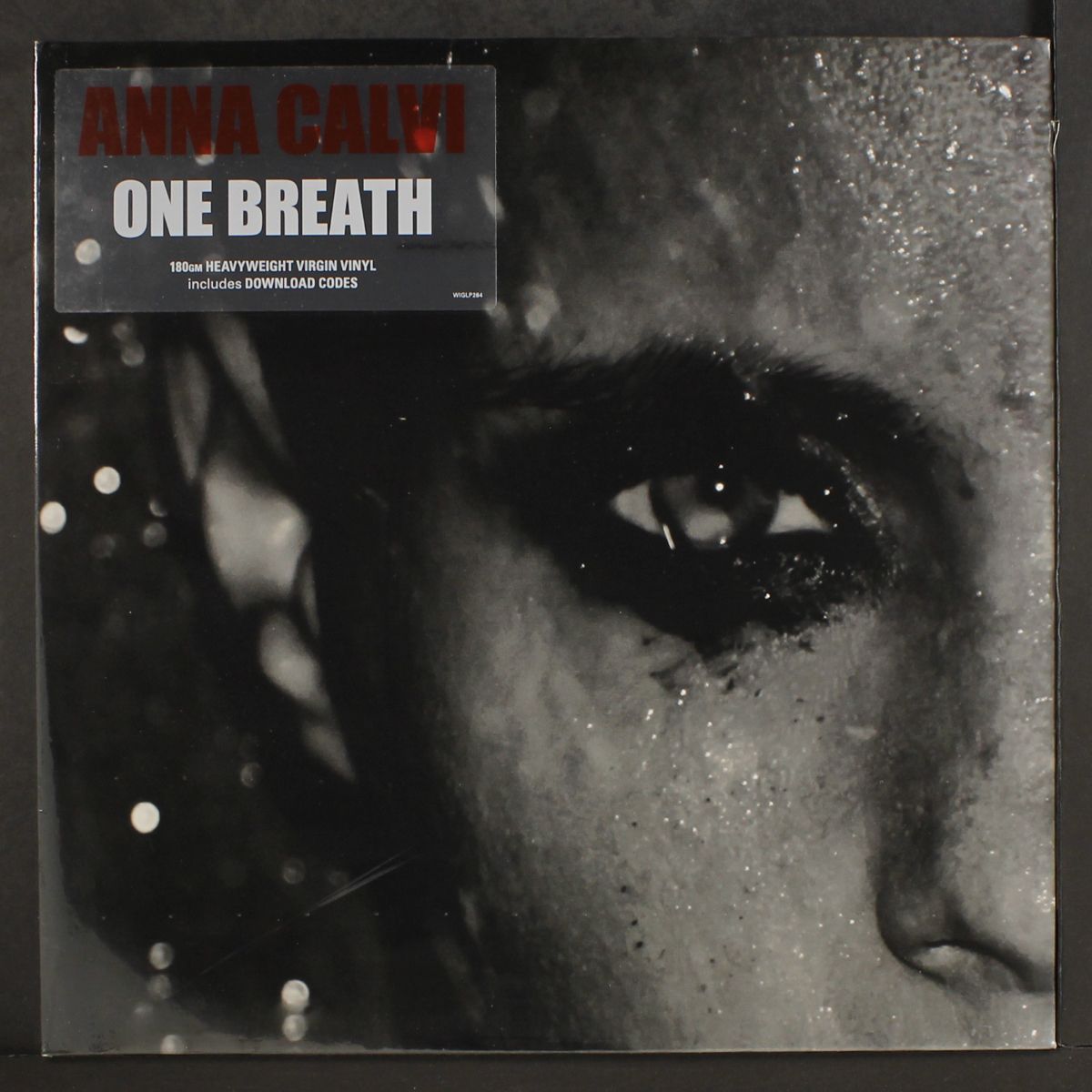 one breath by ANNA CALVI
