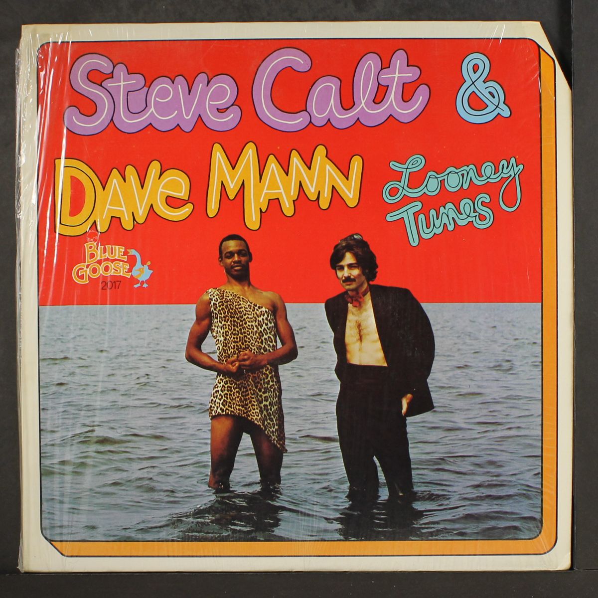 looney tunes by STEVE CALT & DAVE MANN