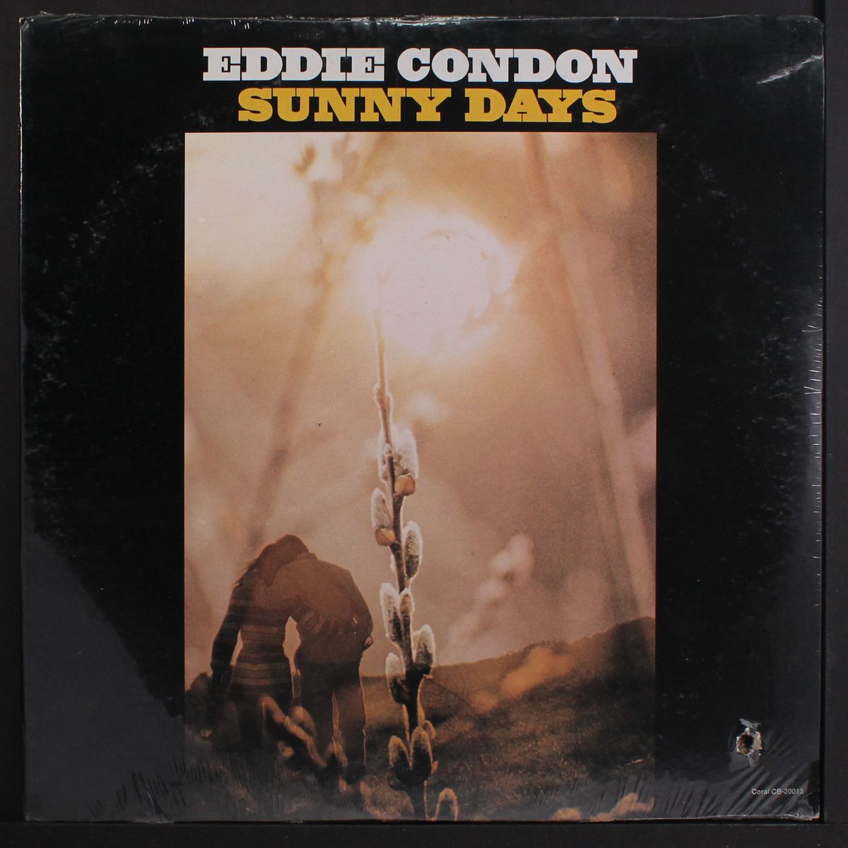 sunny days by EDDIE CONDON