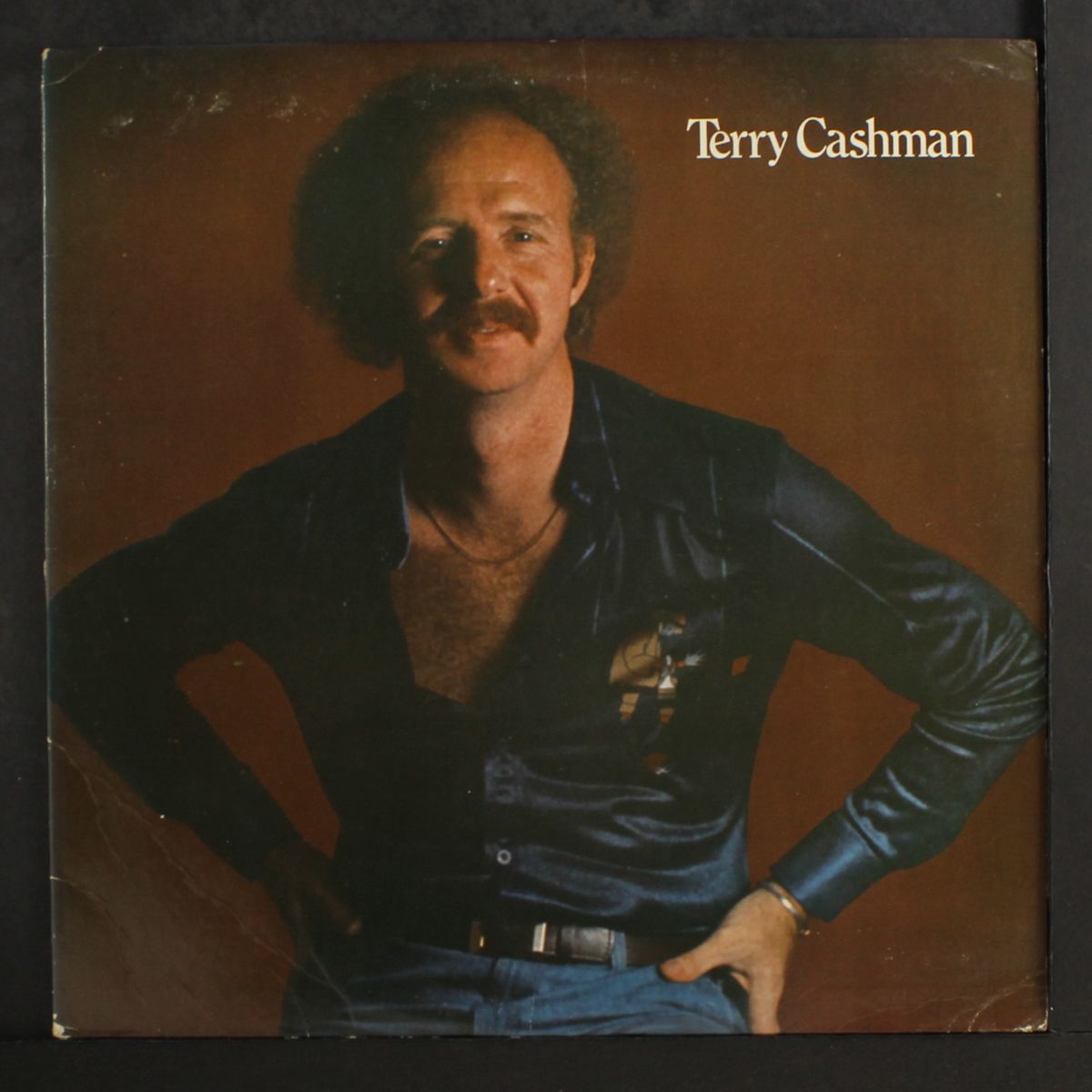 terry cashman by TERRY CASHMAN