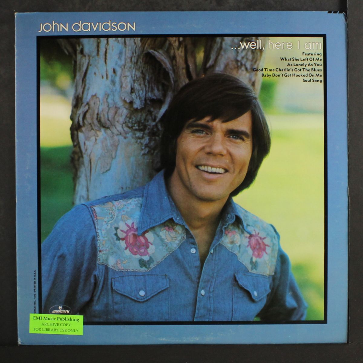 well, here i am by JOHN DAVIDSON