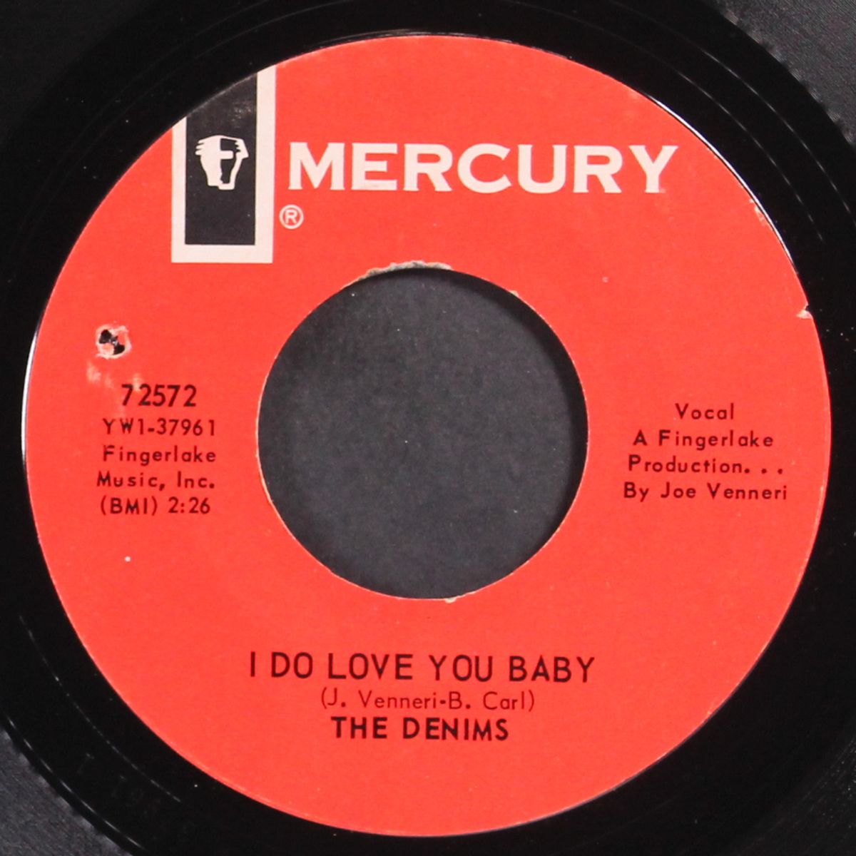 the ghost in your house is me / i do love you baby by DENIMS