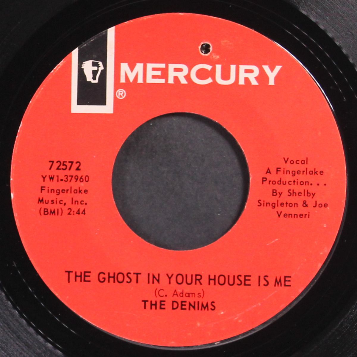 the ghost in your house is me / i do love you baby by DENIMS