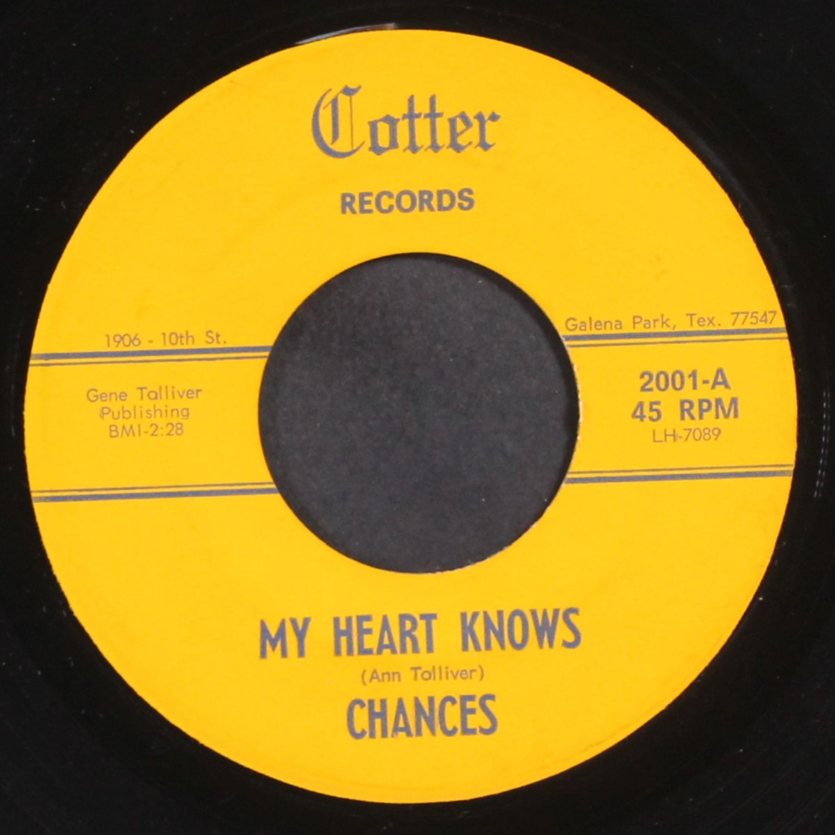 placid world / my heart knows by CHANCES