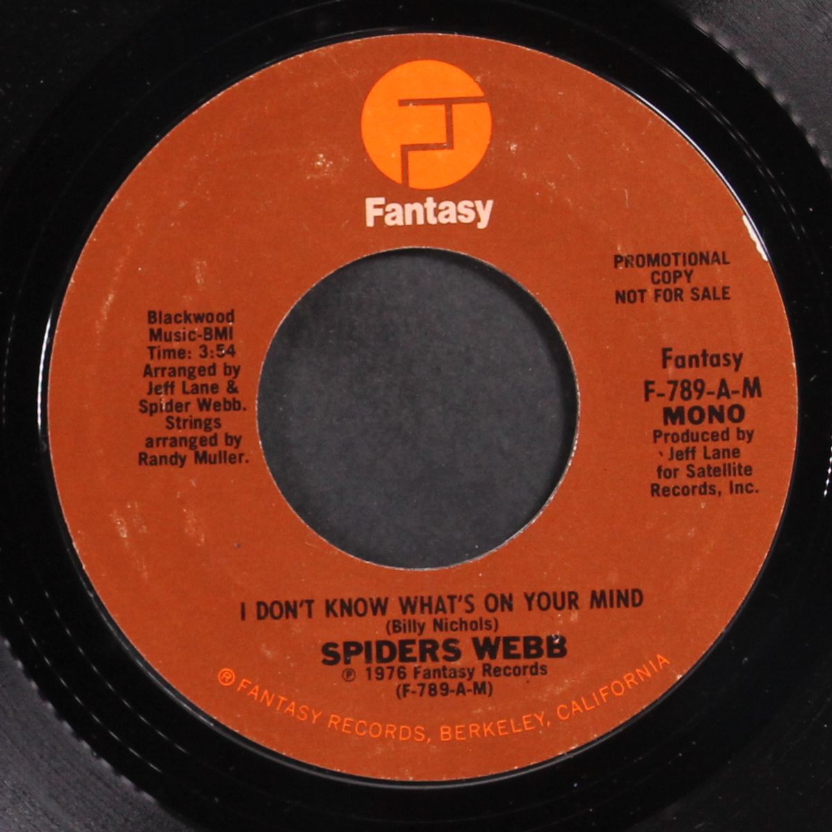 i don't know what's on your mind / mono by SPIDERS WEBB