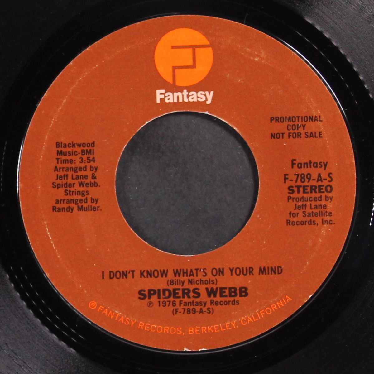 i don't know what's on your mind / mono by SPIDERS WEBB