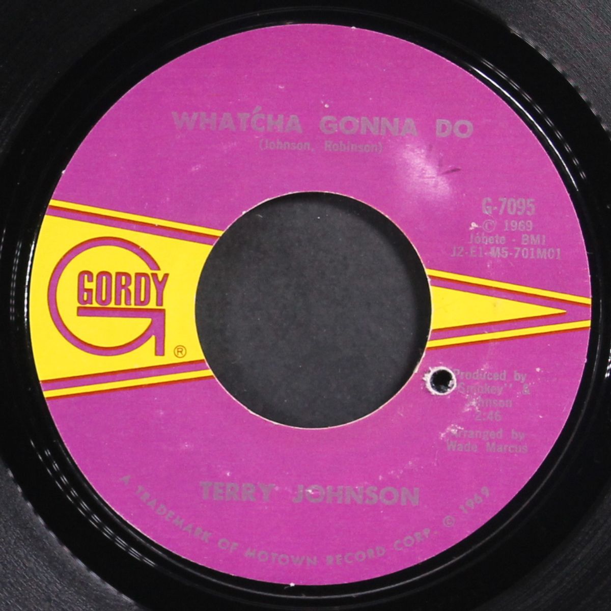 what'cha gonna do / suzie by TERRY JOHNSON
