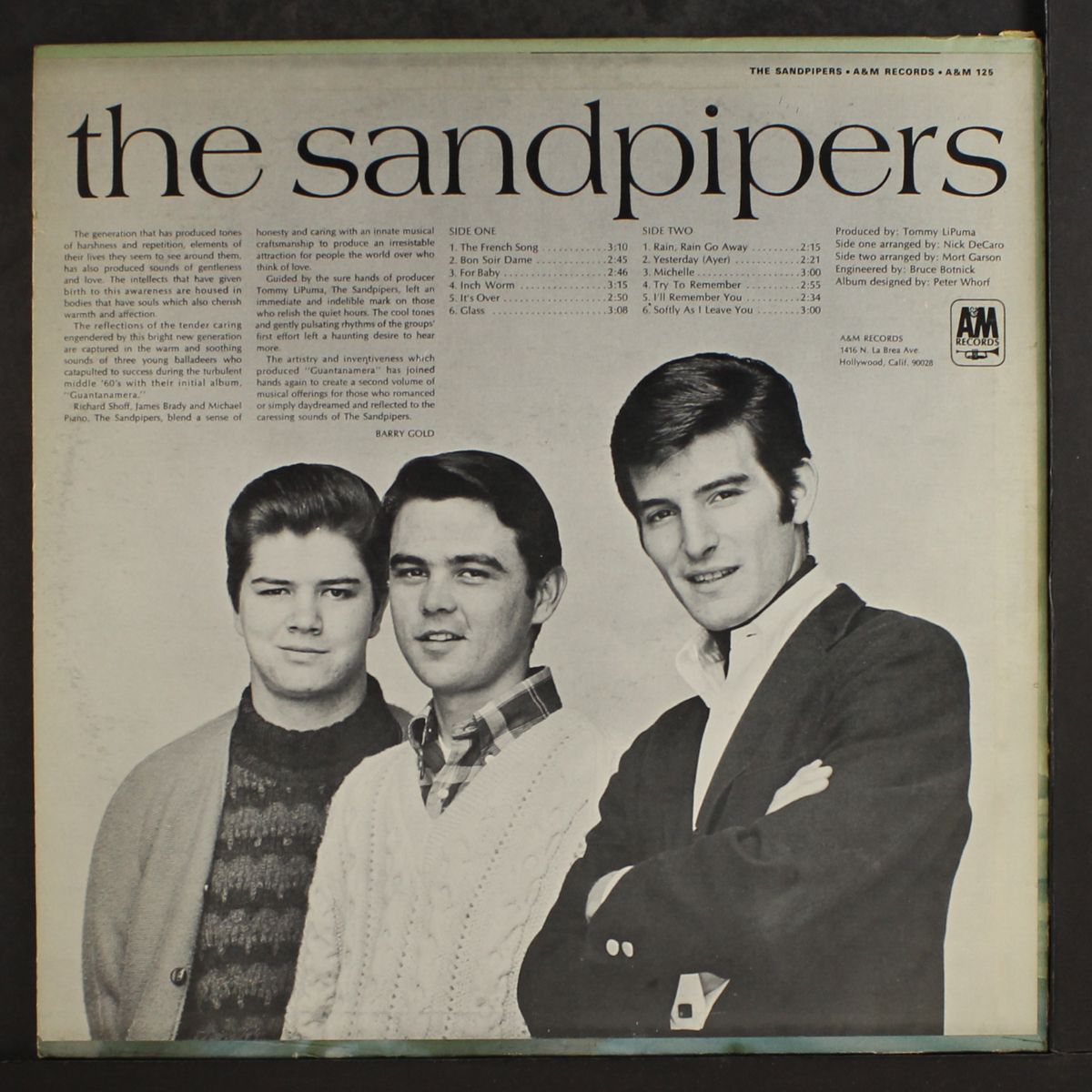 the sandpipers by SANDPIPERS