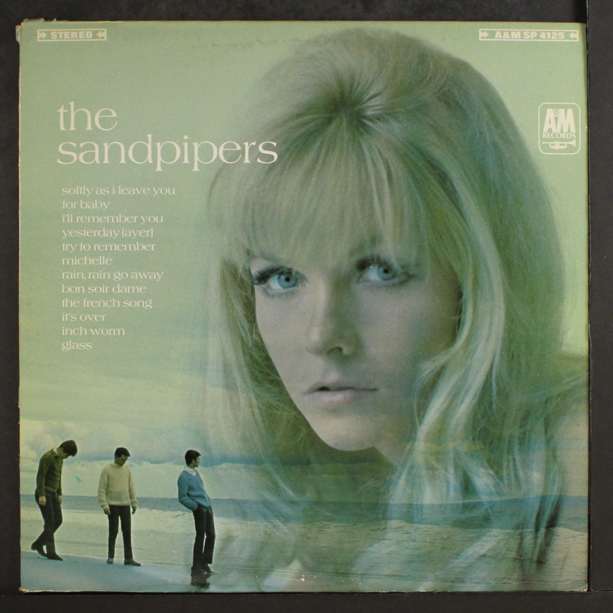 the sandpipers by SANDPIPERS