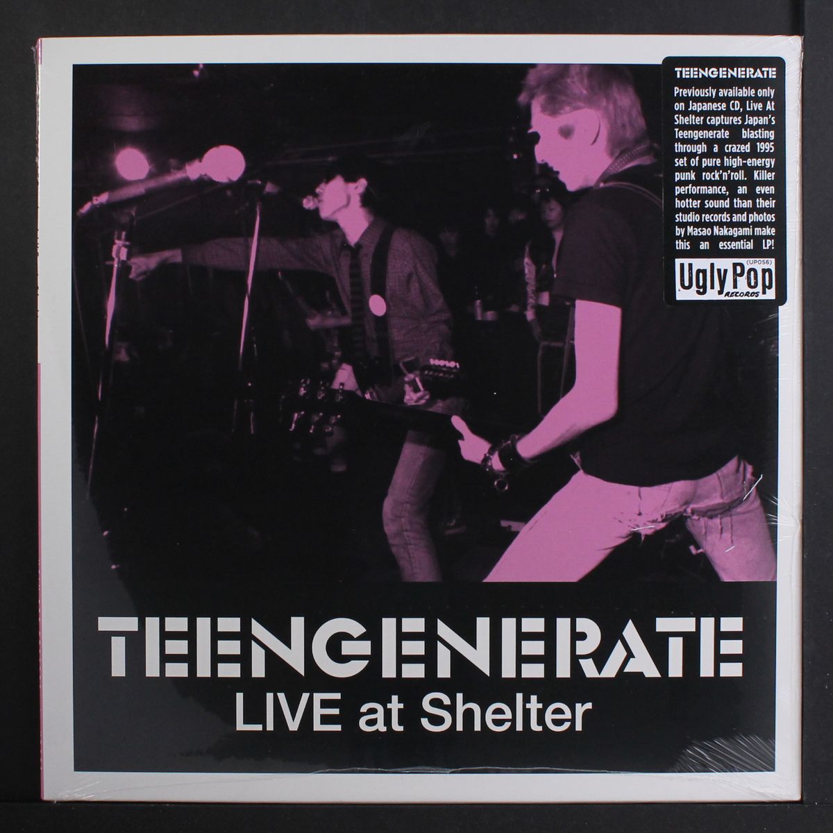 live at shelter by TEENGENERATE
