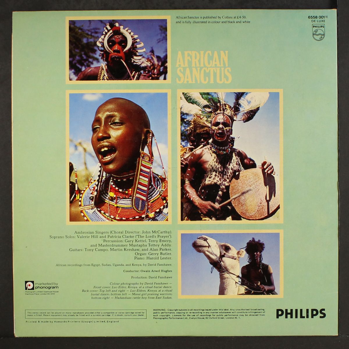 african sanctus by DAVID FANSHAWE