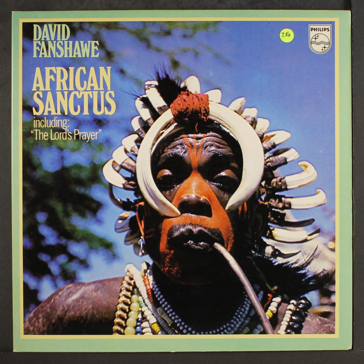 african sanctus by DAVID FANSHAWE