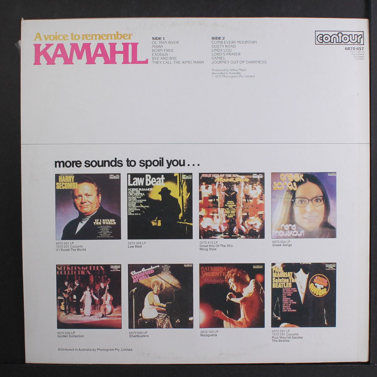 a voice to remember by KAMAHL