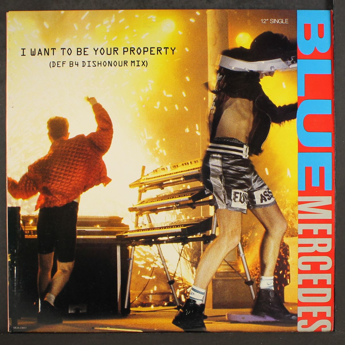 i want to be your property by BLUE MERCEDES