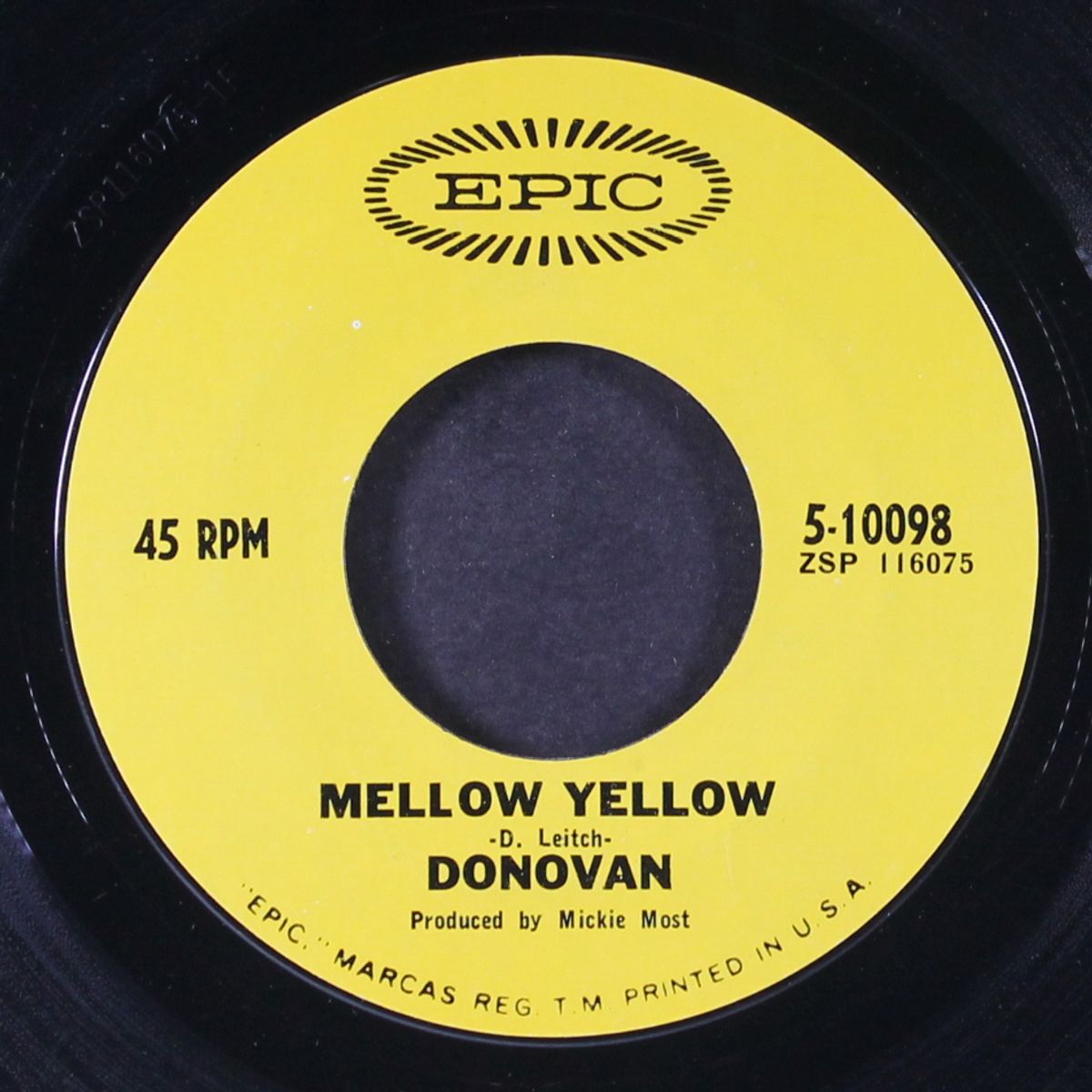 mellow yellow / sunny south kensington by DONOVAN