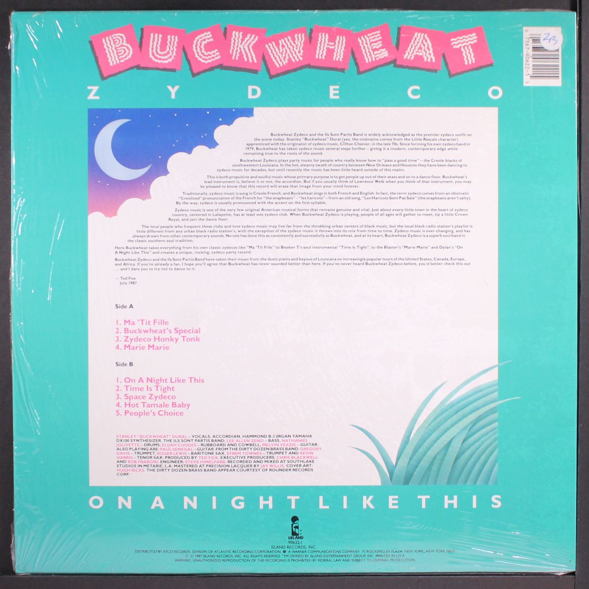 on a night like this by BUCKWHEAT ZYDECO