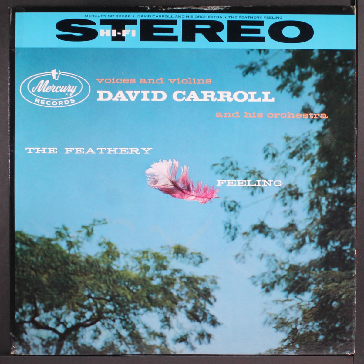 the feathery feeling by DAVID CARROLL