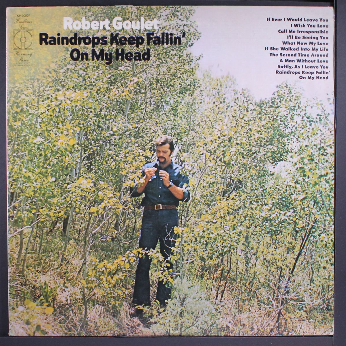 raindrops keep fallin' on my head by ROBERT GOULET