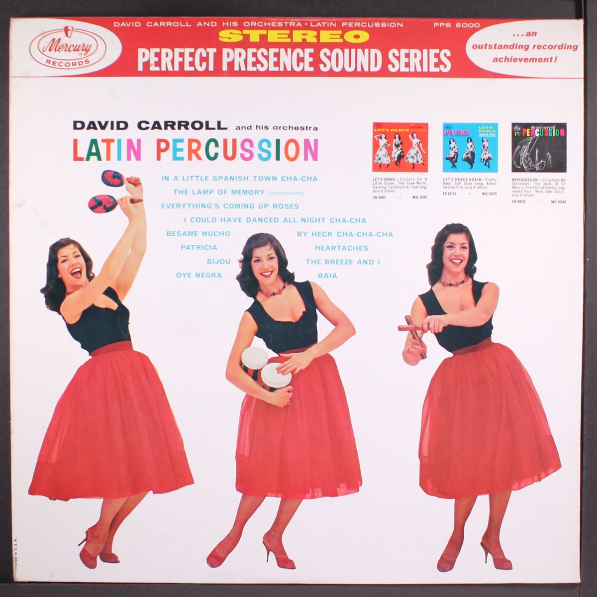 latin percussion by DAVID CARROLL