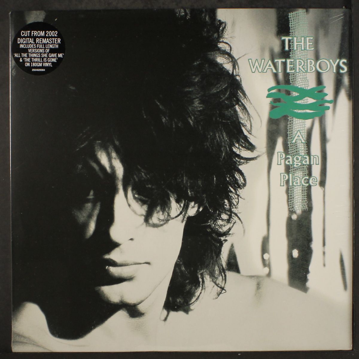 a pagan place by WATERBOYS