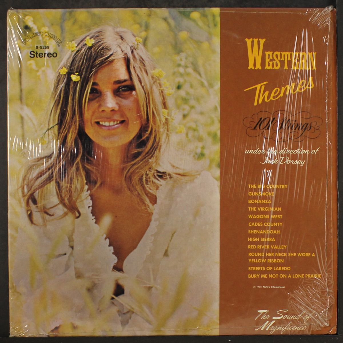 western themes by 101 STRINGS
