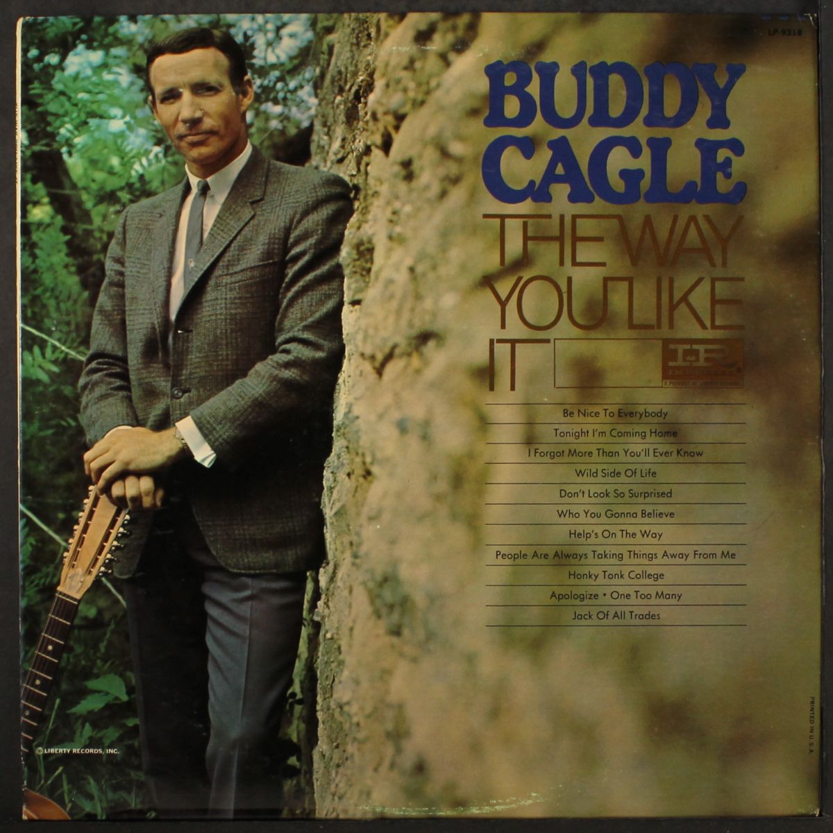 the way you like it by BUDDY CAGLE
