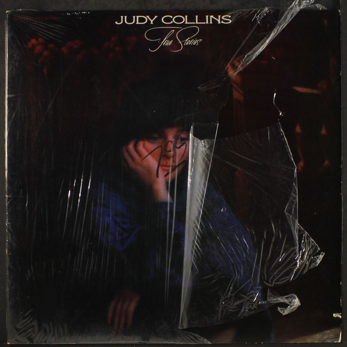 true stories and other dreams by JUDY COLLINS