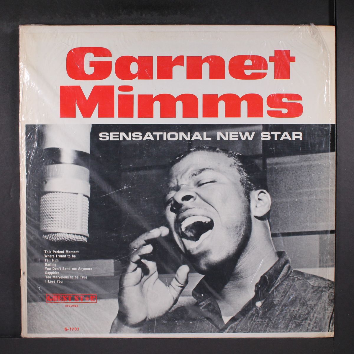 sensational new star by GARNET MIMMS