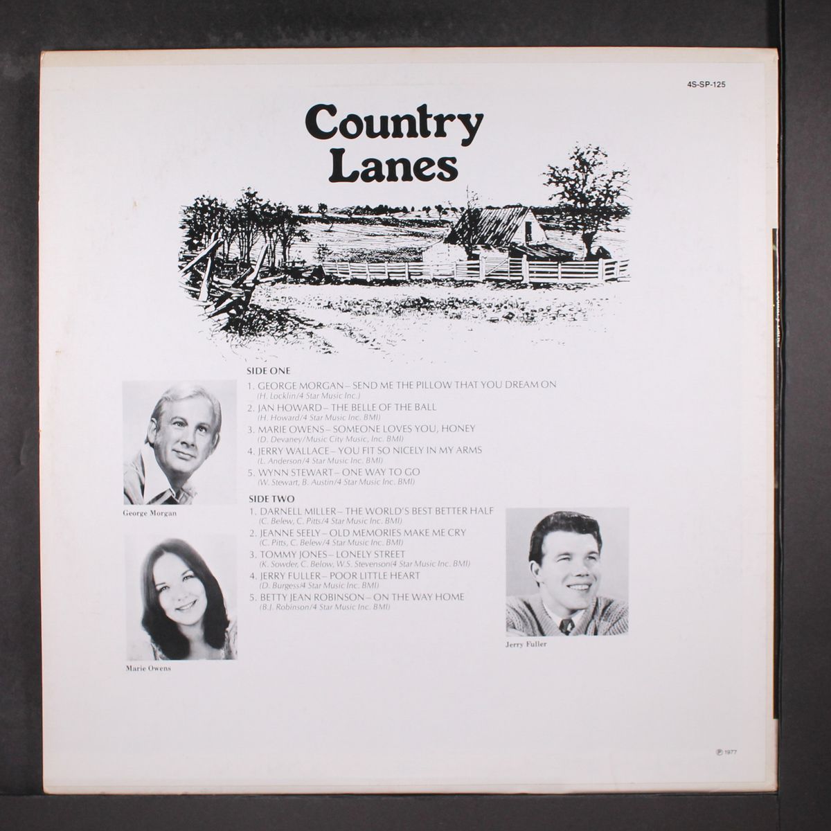 country lanes by VARIOUS