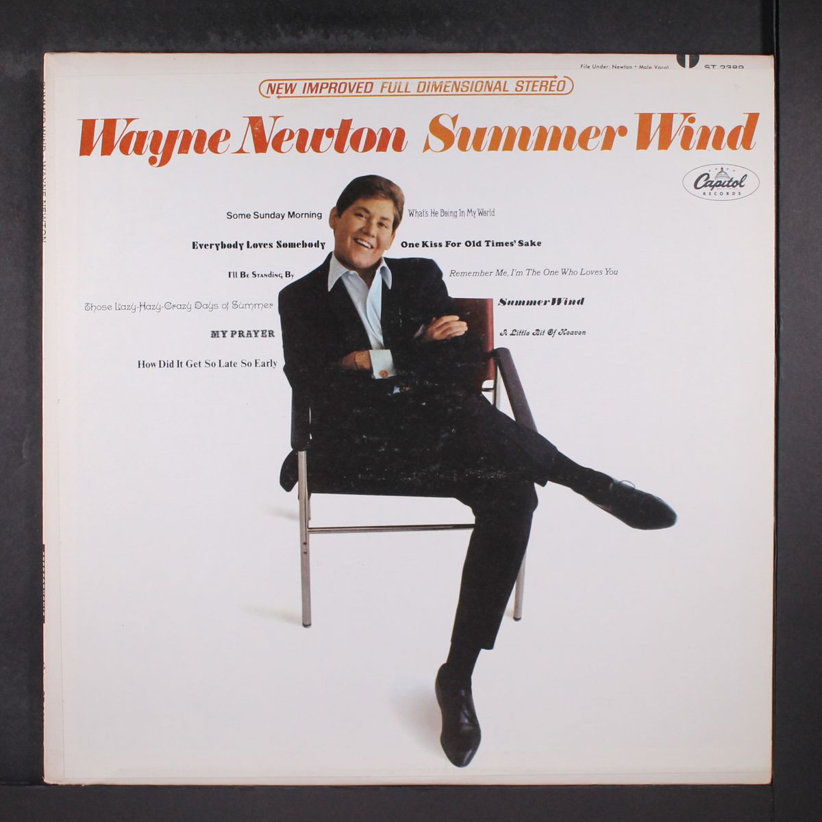 summer wind by WAYNE NEWTON