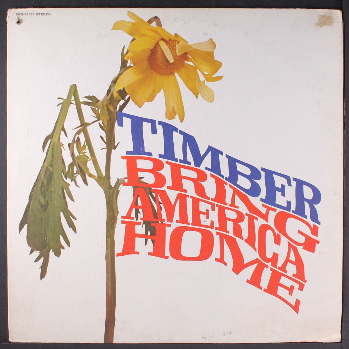 bring america home by TIMBER