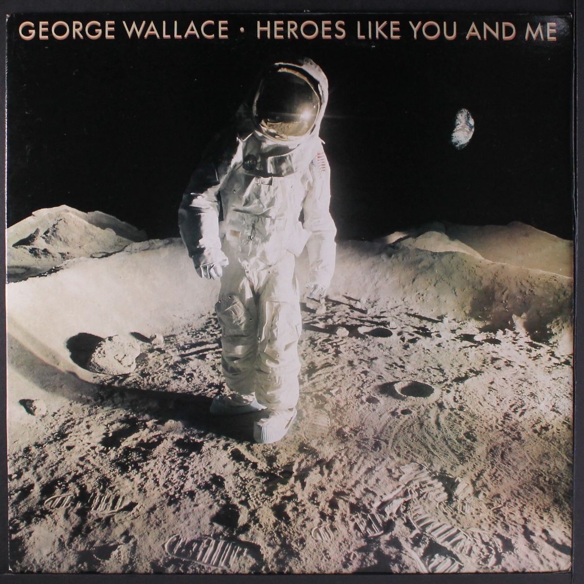 heroes like you and me by GEORGE WALLACE