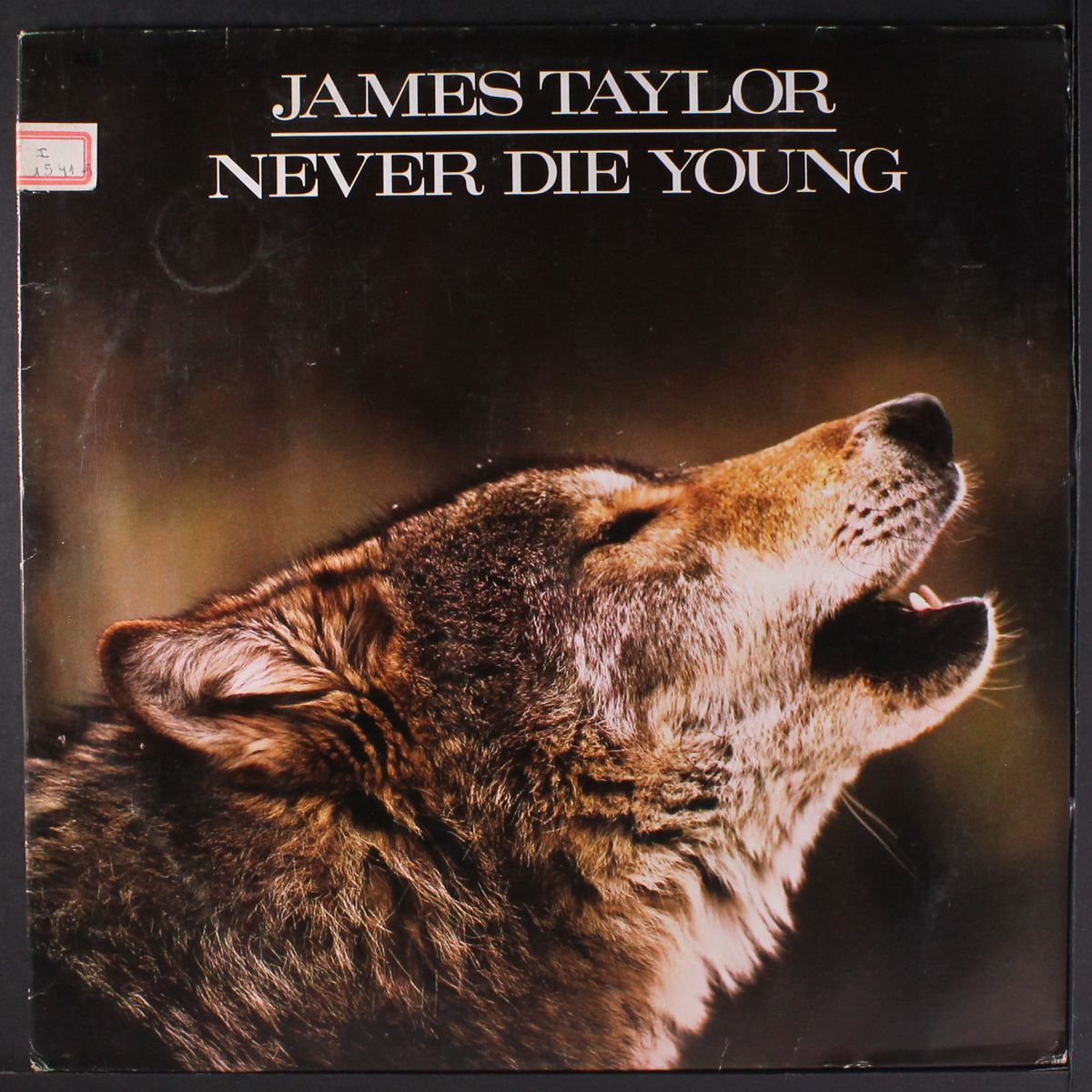 never die young by JAMES TAYLOR