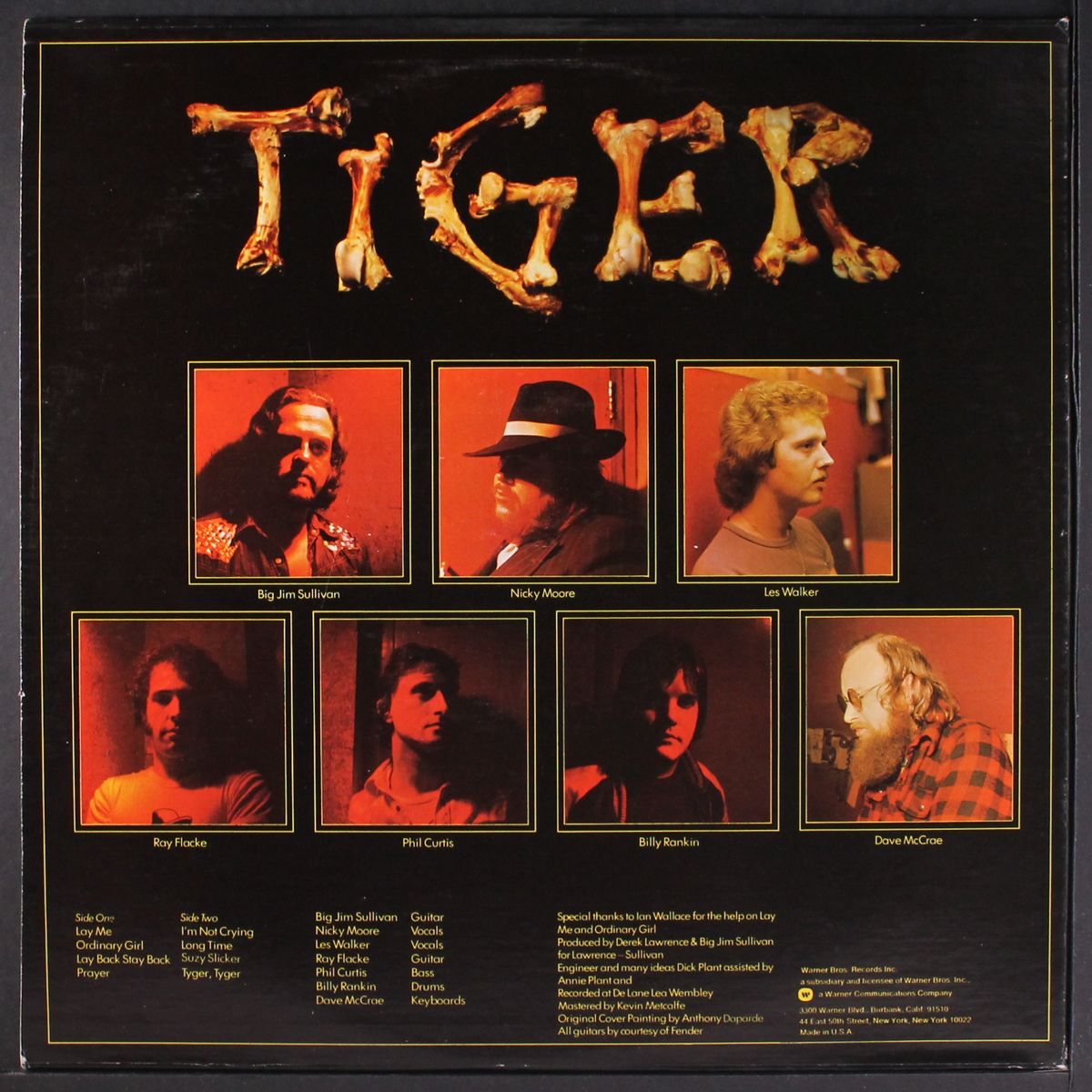 tiger by TIGER