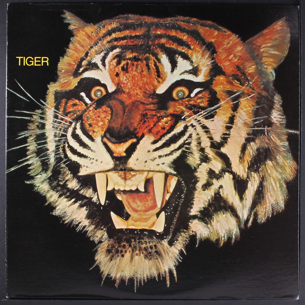 tiger by TIGER