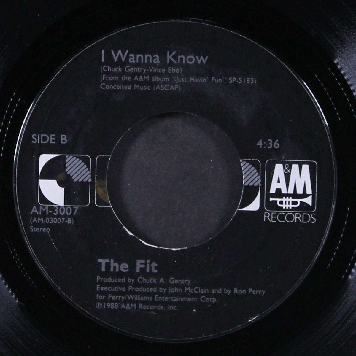 just havin' fun / i wanna know by FIT