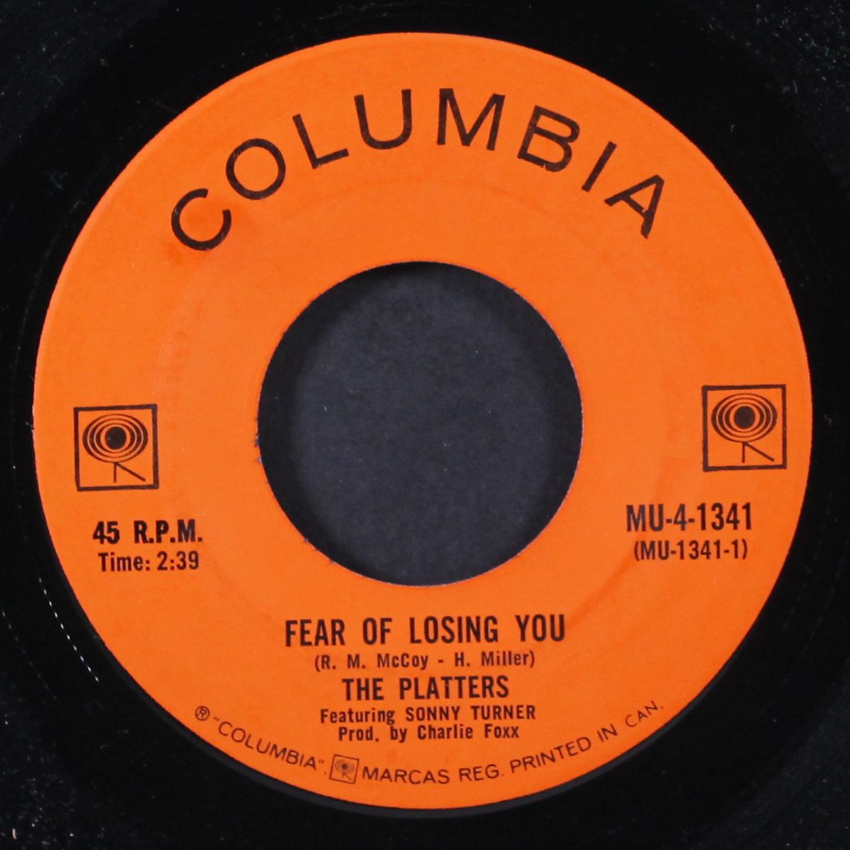 fear of losing you / sonata by PLATTERS