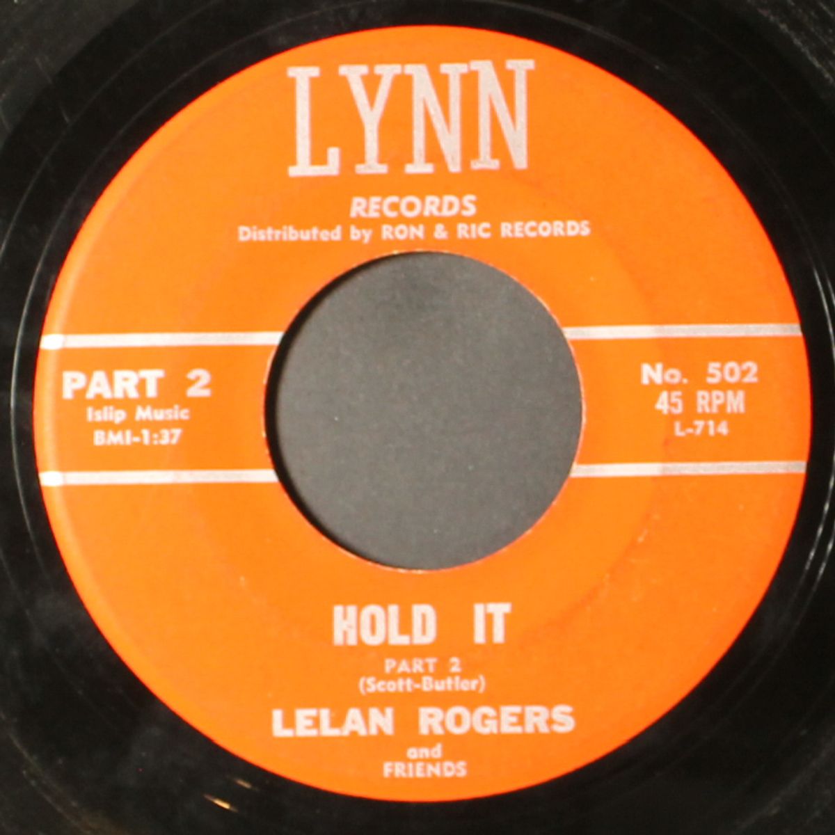 hold it by LELAN ROGERS