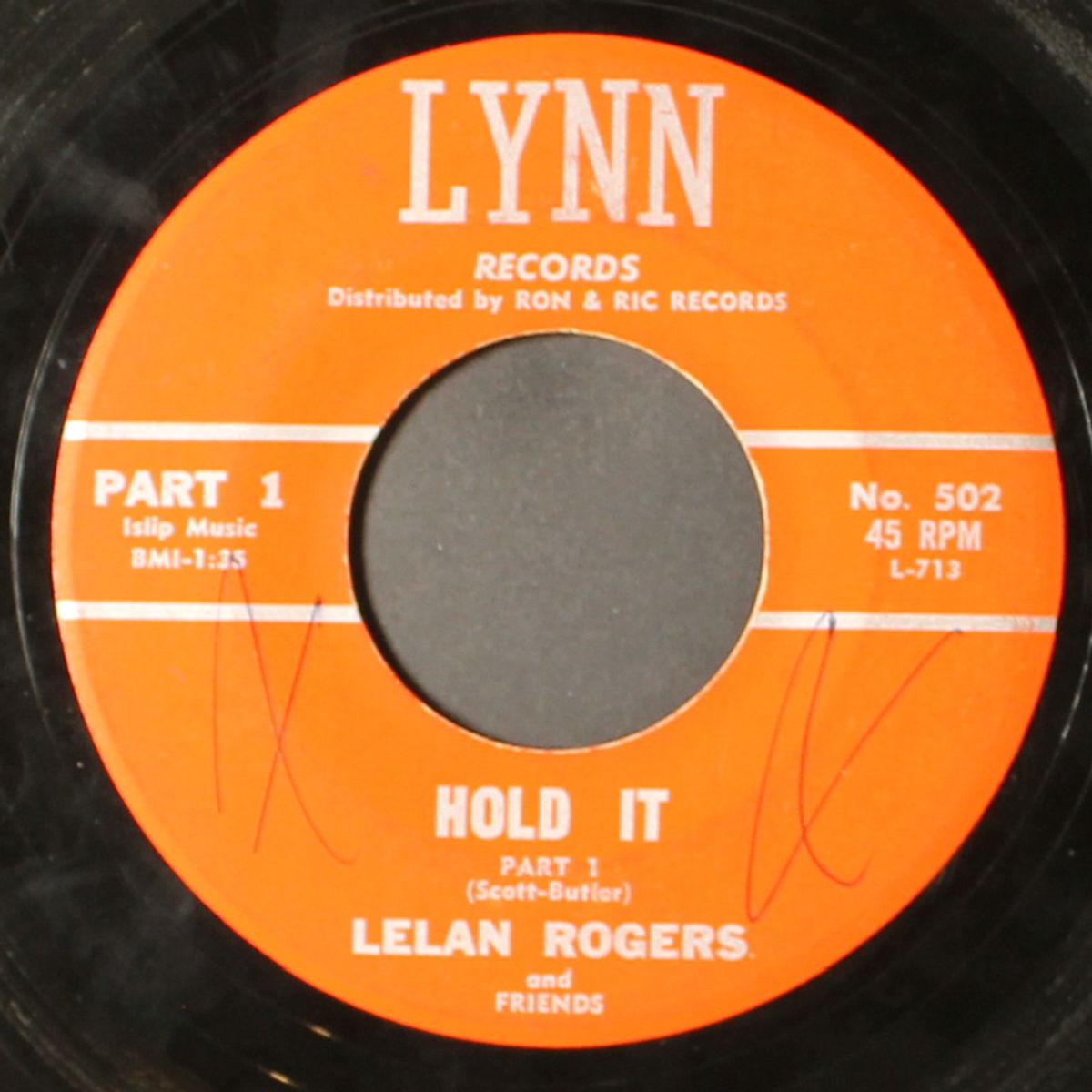 hold it by LELAN ROGERS
