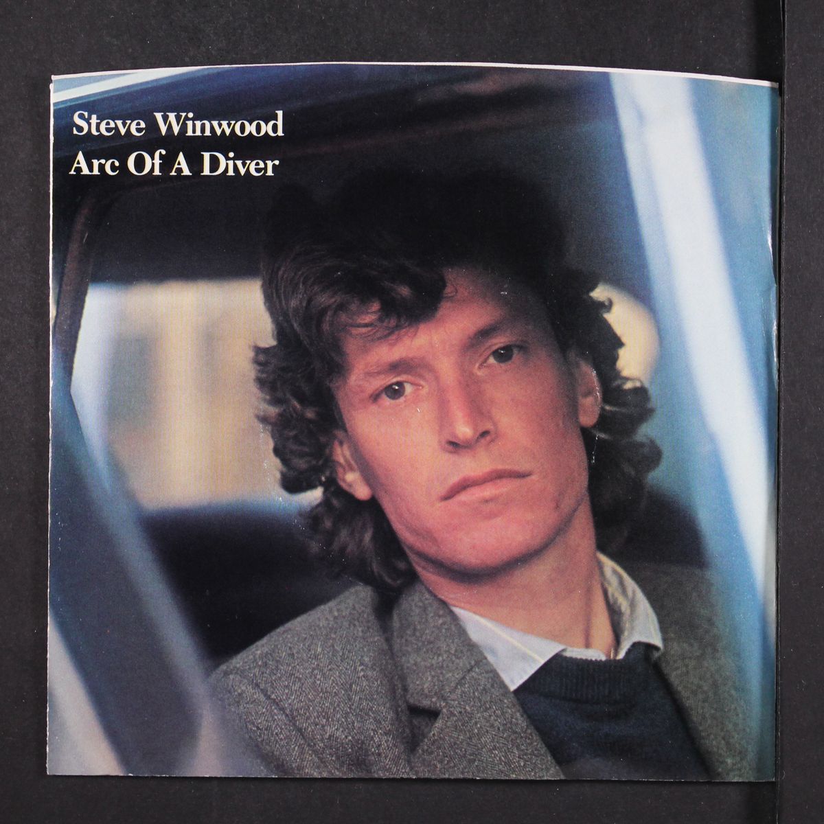 arc of a diver / dust by STEVE WINWOOD