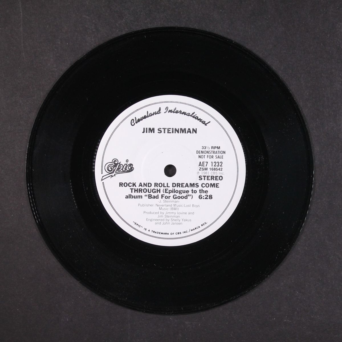 rock and roll dreams come through by JIM STEINMAN