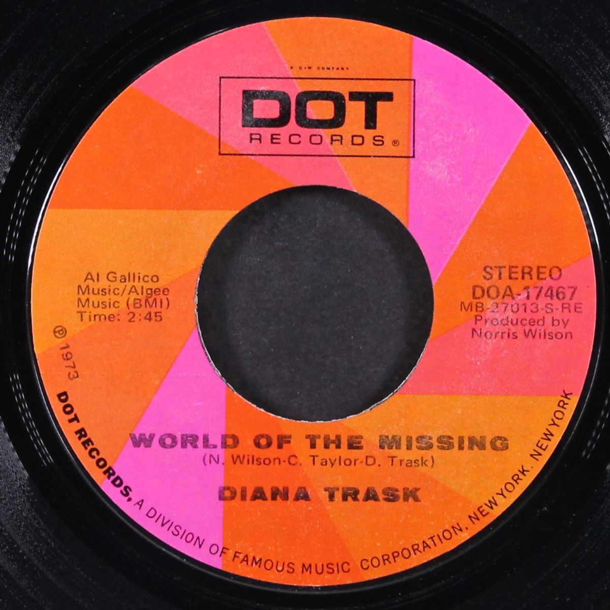 it's a mans world / world of the missing by DIANA TRASK