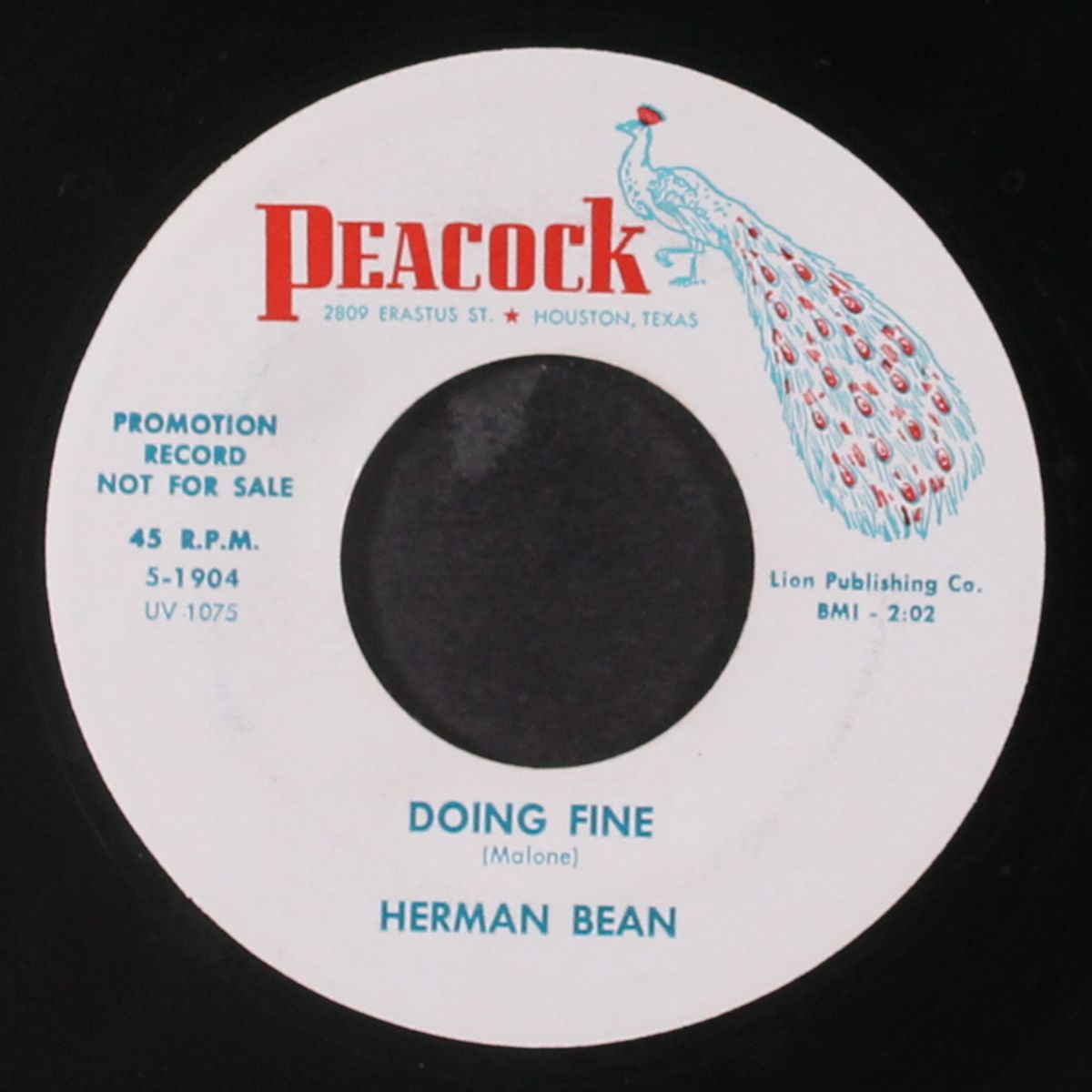 babysitter / doing fine by HERMAN BEAN