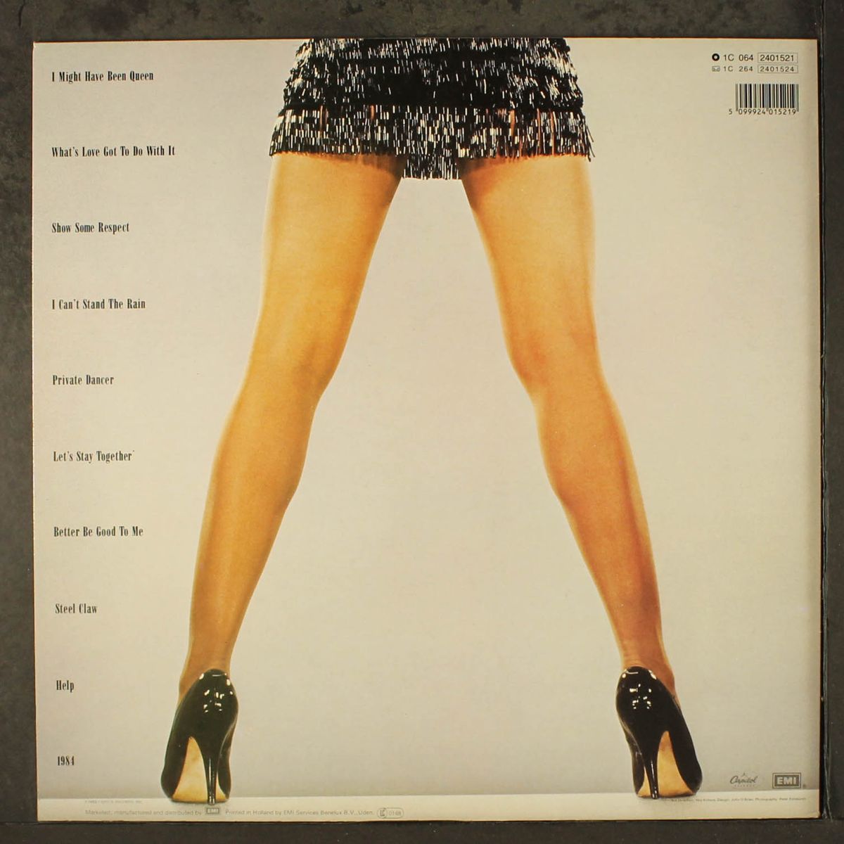 private dancer by TINA TURNER