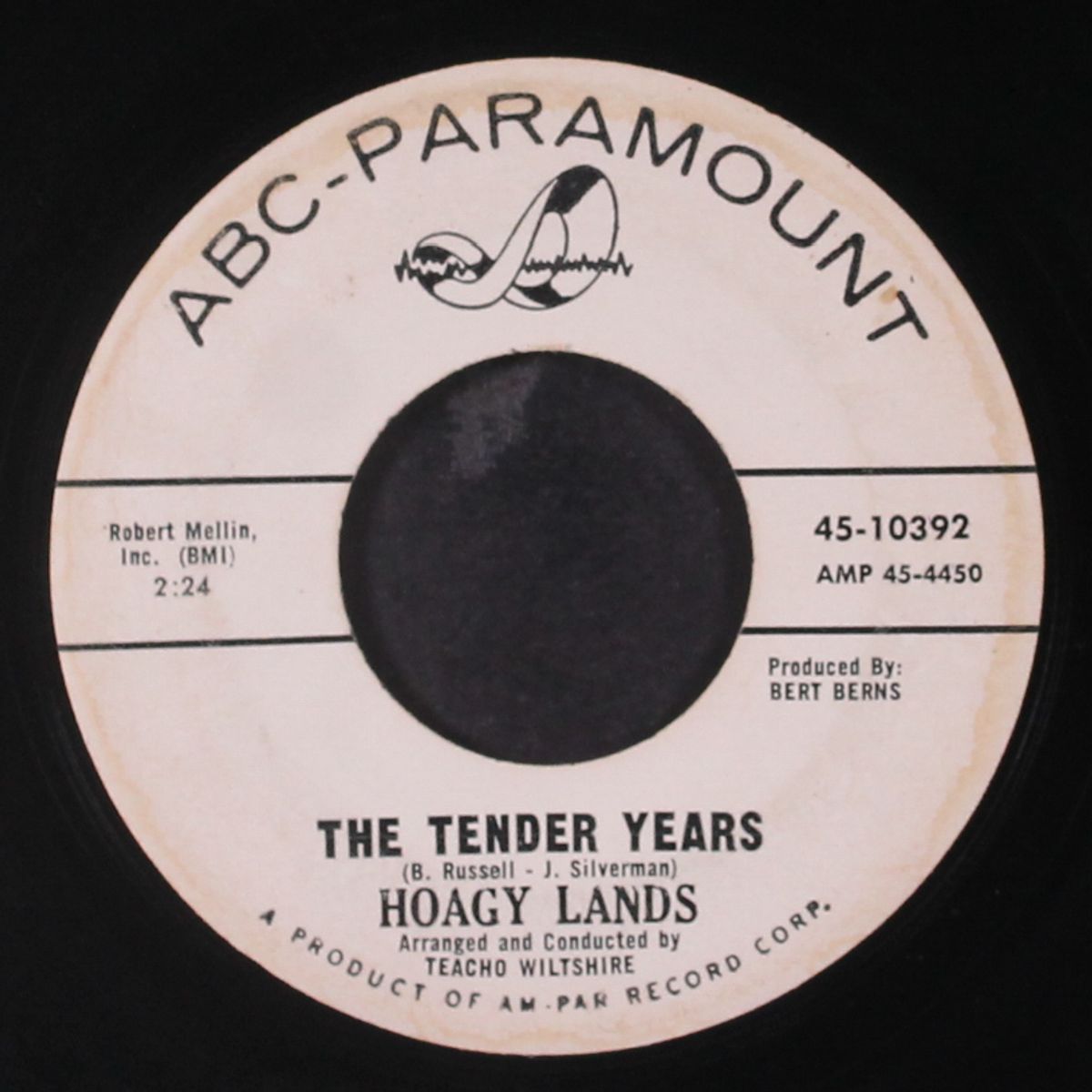 i'm yours / the tender years by HOAGY LANDS