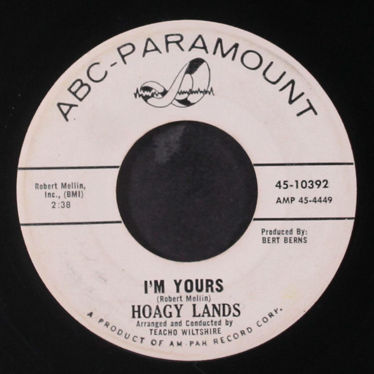 i'm yours / the tender years by HOAGY LANDS