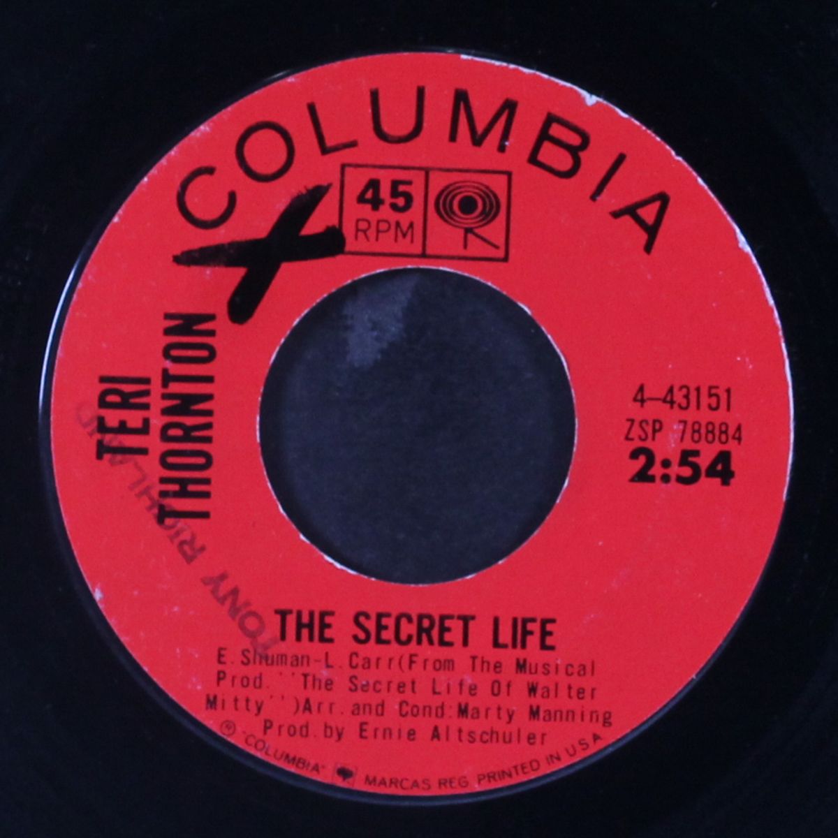 where are you love? / the secret life by TERI THORNTON